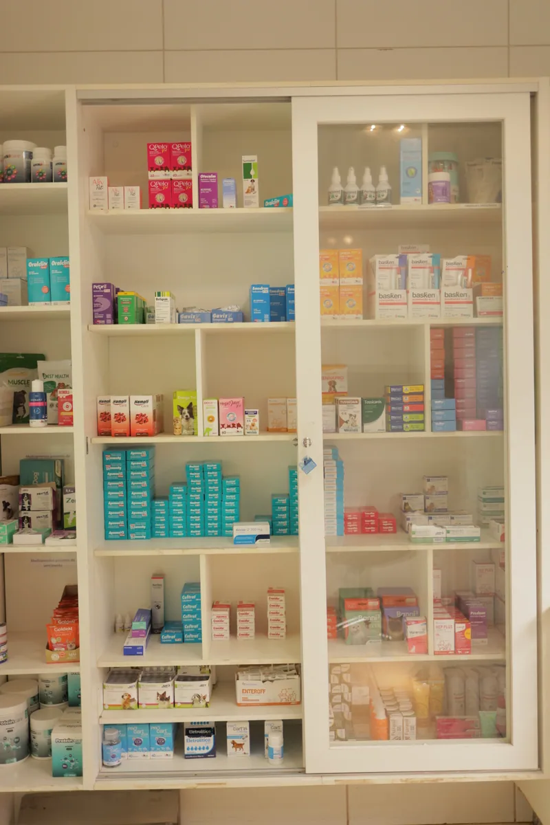 Produtos veterinários organizados no PetCampos