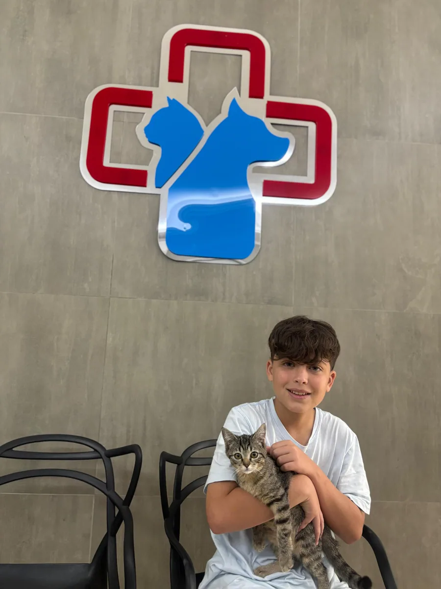 Criança segurando um gato no PetCampos